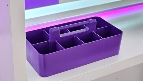 Enjoy Organizer 2 Pack Stackable Plastic Caddy with Handle