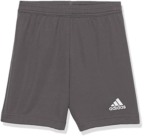 adidas Kids Entrada 22 Training Shorts