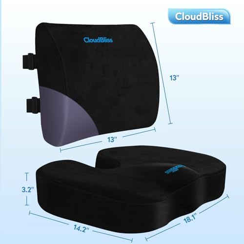 CloudBliss Memory Foam Seat Cushion with Lumbar Support 1