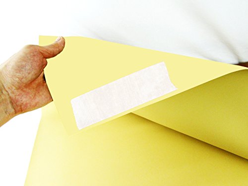 Nichiban NW-50 Double-Sided Mounting Tape 20in x 328ft