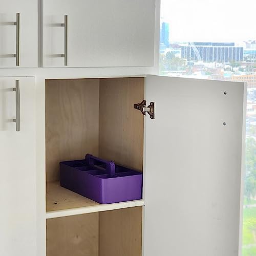 Enjoy Organizer 2 Pack Stackable Plastic Caddy with Handle