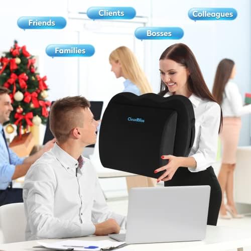 CloudBliss Memory Foam Seat Cushion with Lumbar Support 1