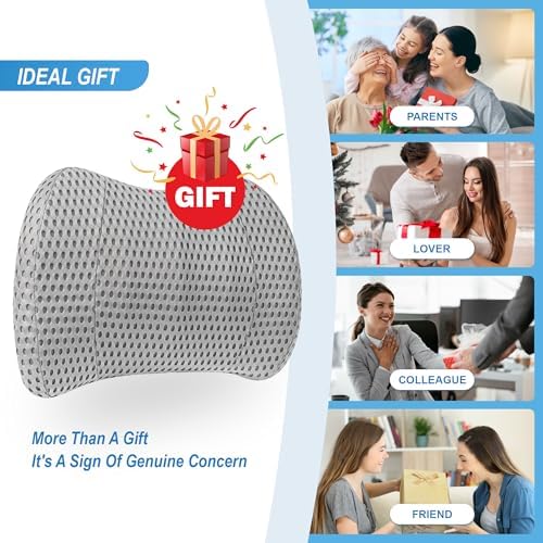 Lofty Aim Lumbar Support Pillow for Car and Office