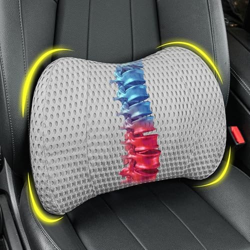 Lofty Aim Lumbar Support Pillow for Car and Office
