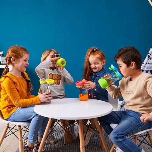 BBox 15 Oz Sport Spout Kids Water Bottle