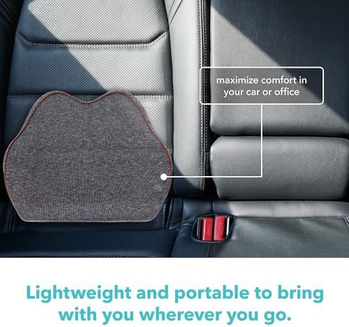 Cubii Cushii Back Support Cushion Universal Fit