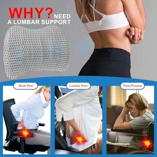 Lofty Aim Lumbar Support Pillow for Car and Office