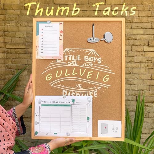 Gullveig Silver Push Pins and Thumb Tacks 50 Count