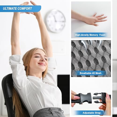 Lofty Aim Lumbar Support Pillow for Car and Office