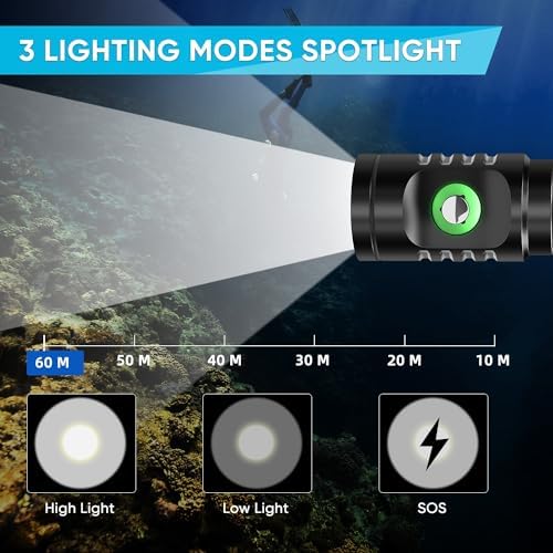WINDFIRE Scuba Flashlight Underwater Headlamp