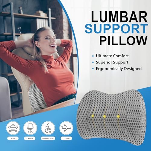 Lofty Aim Lumbar Support Pillow for Car and Office