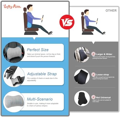 Lofty Aim Lumbar Support Pillow for Car and Office