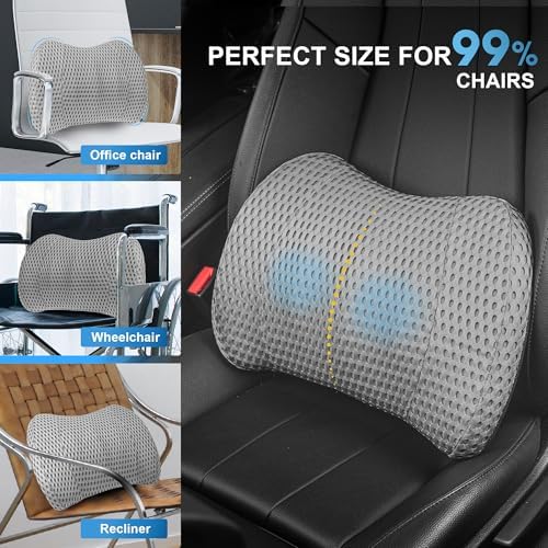 Lofty Aim Lumbar Support Pillow for Car and Office