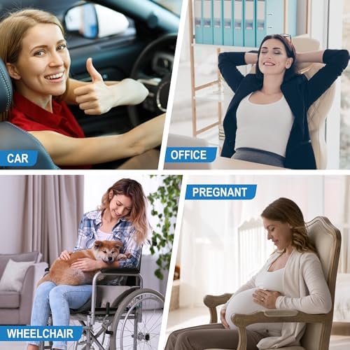 Lofty Aim Lumbar Support Pillow for Car and Office
